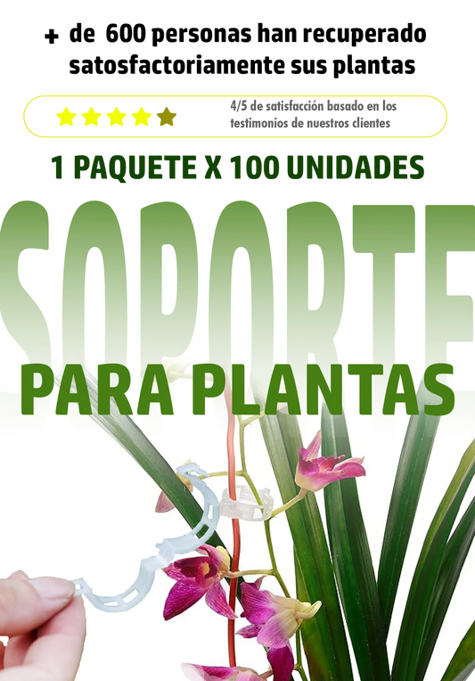 SOPORTE PARA PLANTAS